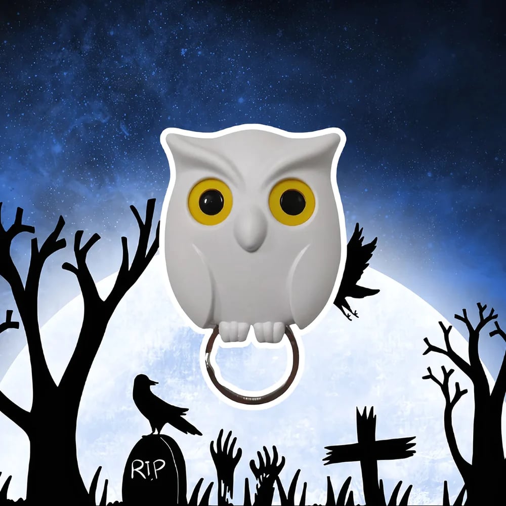 Llavero magnético de pared Night Owl