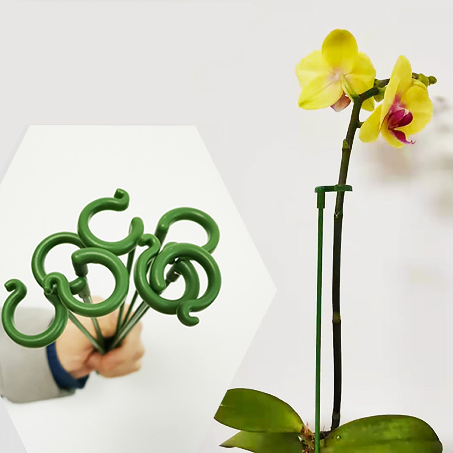 Soportes para plantas y soportes para flores