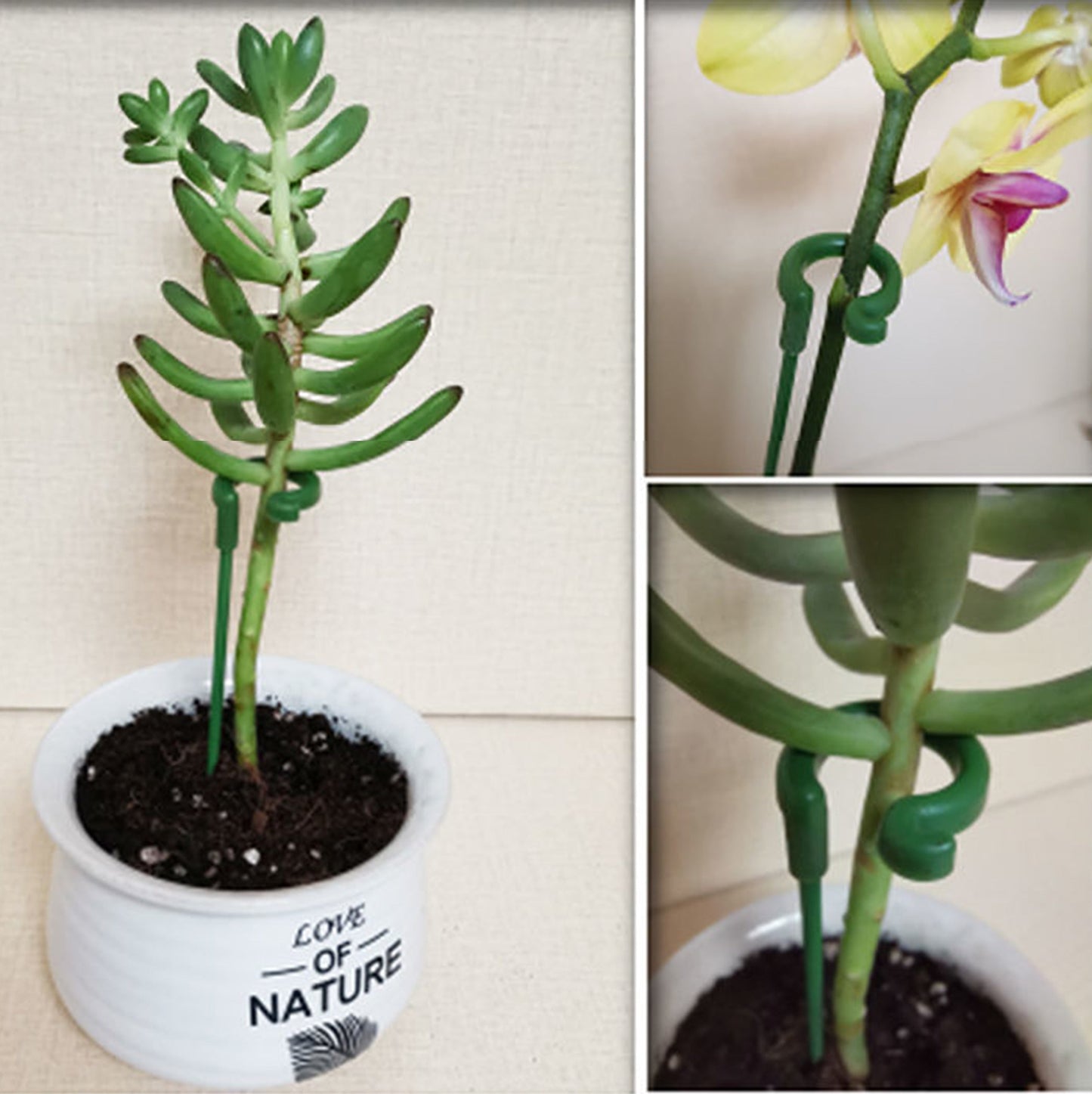Soportes para plantas y soportes para flores