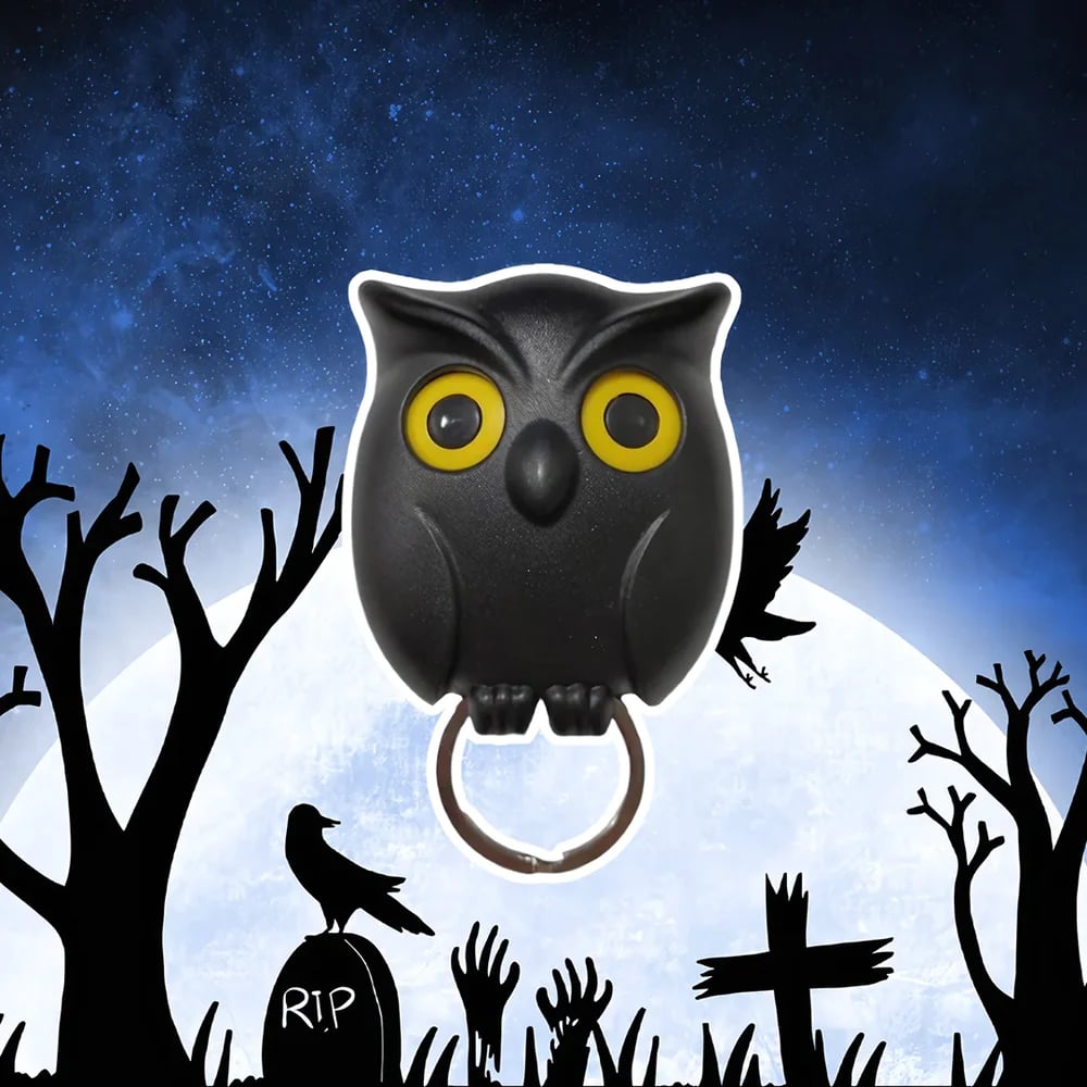Llavero magnético de pared Night Owl