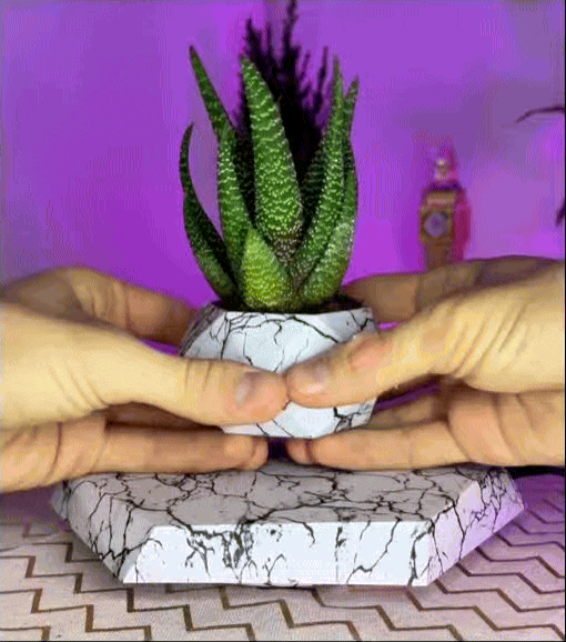 AIRGARDEN™