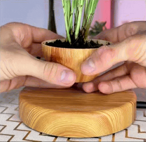 AIRGARDEN™