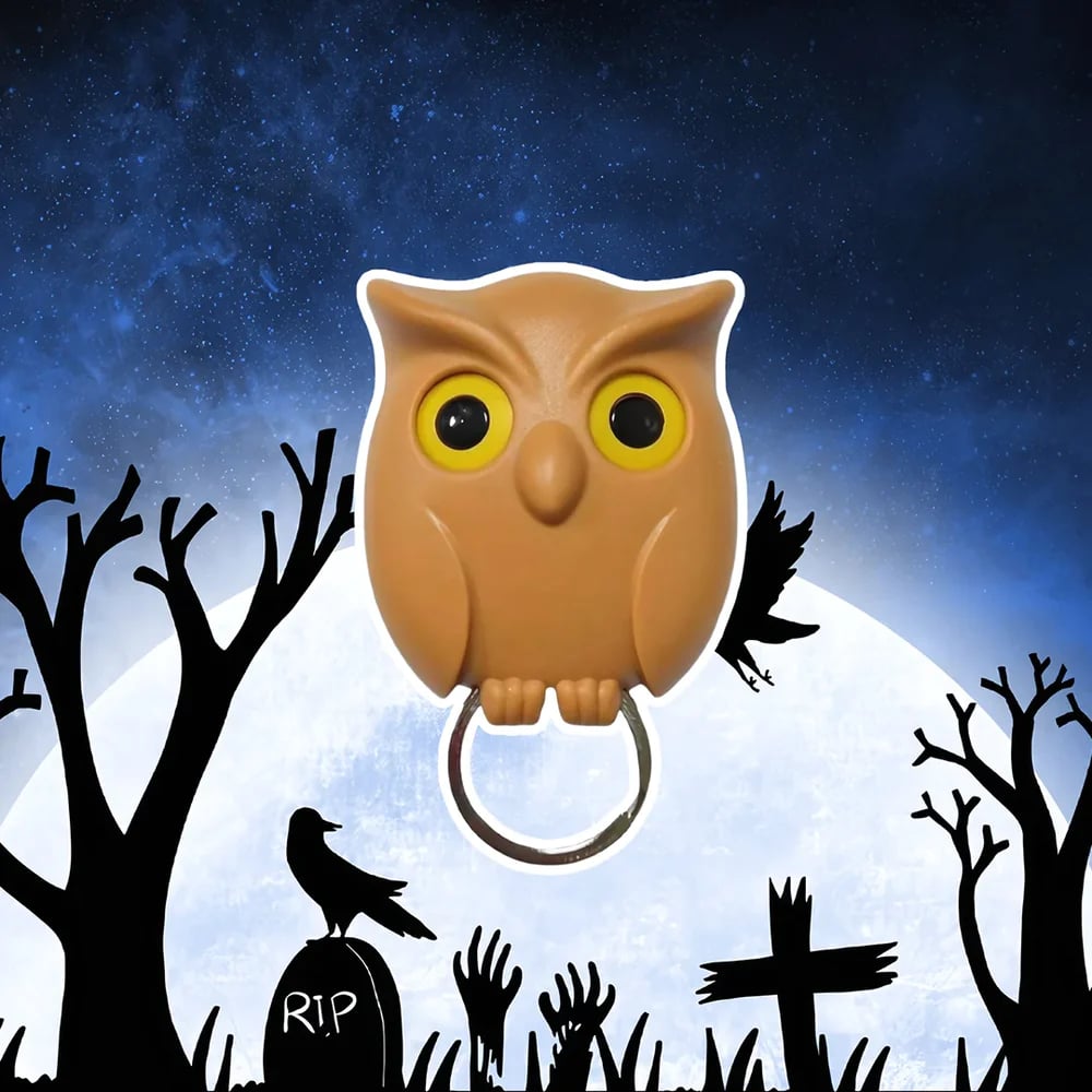 Night Owl Magnetic Wall Key Holder