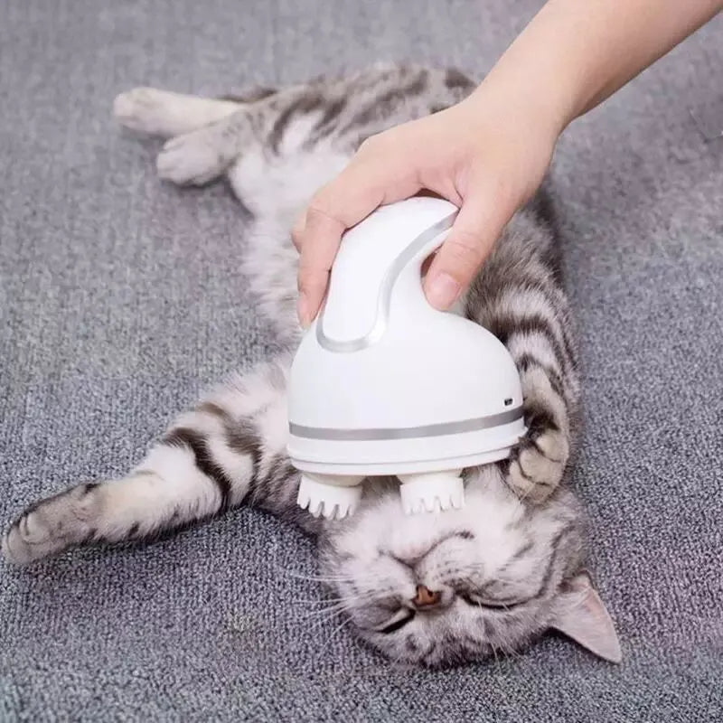 Pet Funny Forever | Electric Scalp Fluffy Massager For Pets: Circulation and Relaxation