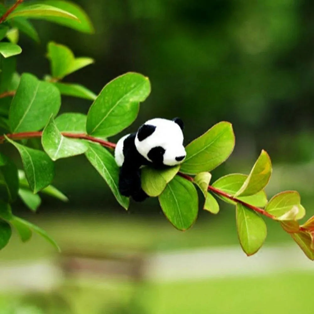 Panda magnético