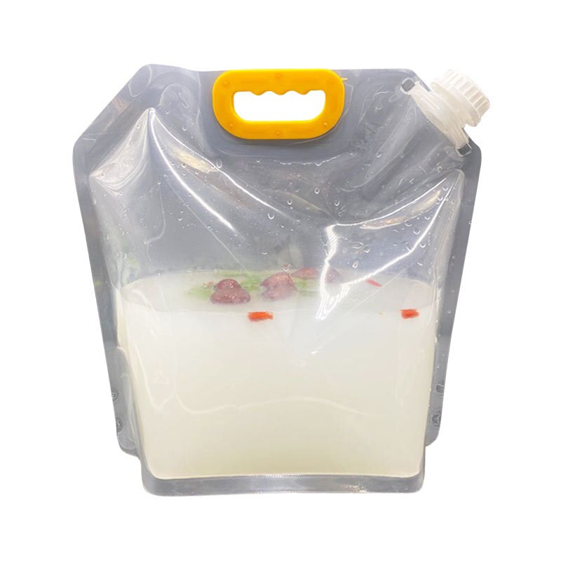 Transparent Storage Bag