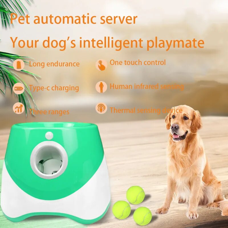 Lanzador automático recargable de pelotas de tenis para perros: minijuguete interactivo para lanzar.