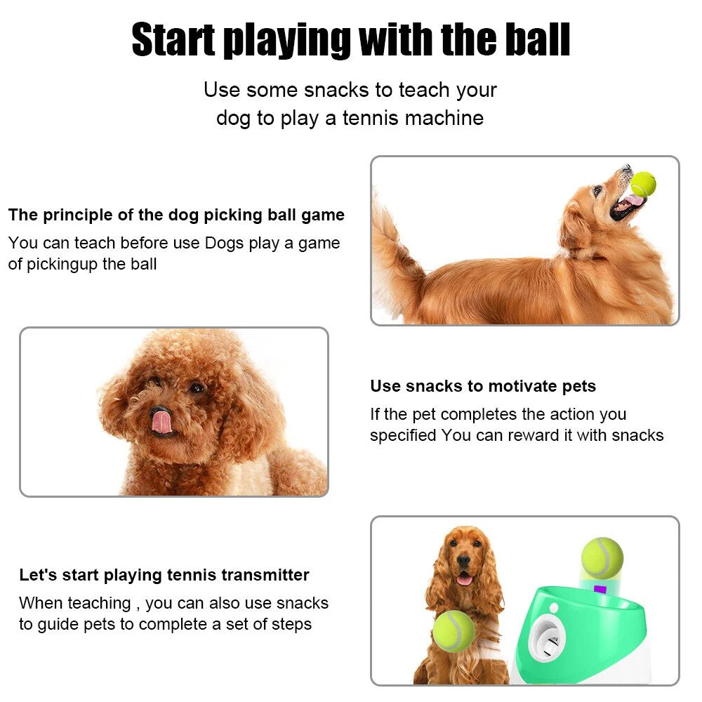 Lanzador automático recargable de pelotas de tenis para perros: minijuguete interactivo para lanzar.