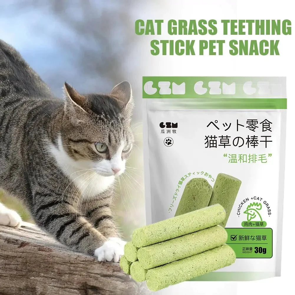 Cat Teeth Cleaning Grass Stick