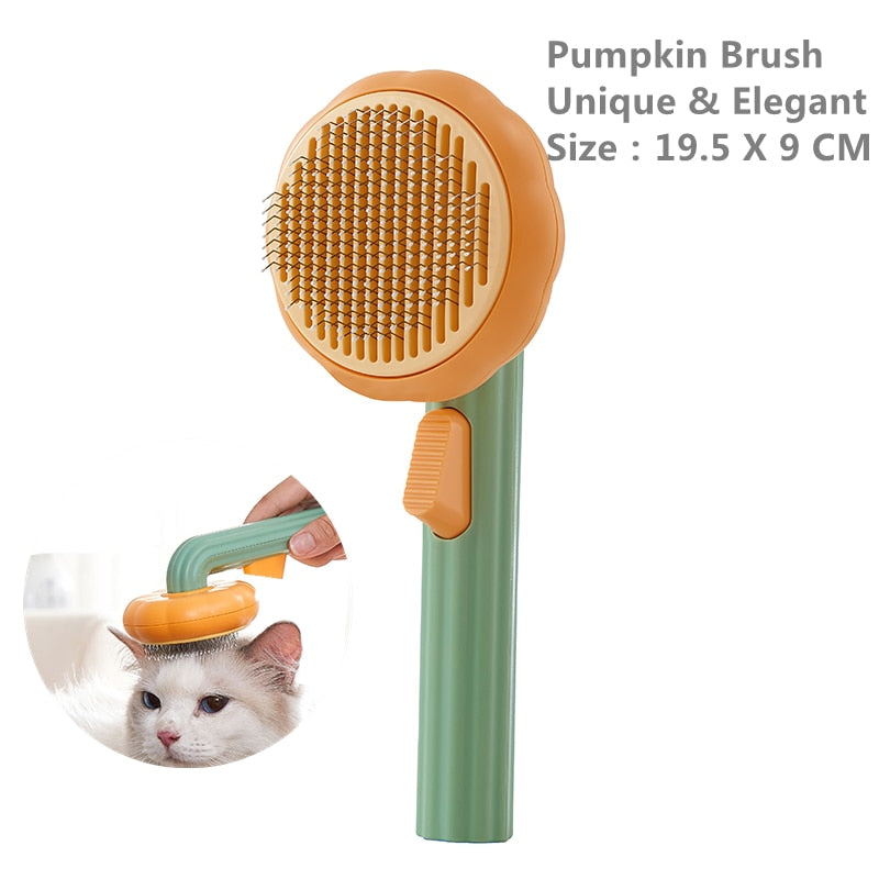 Pet Pumpkin Brush - HOW DO I BUY THIS Pumpkin purple