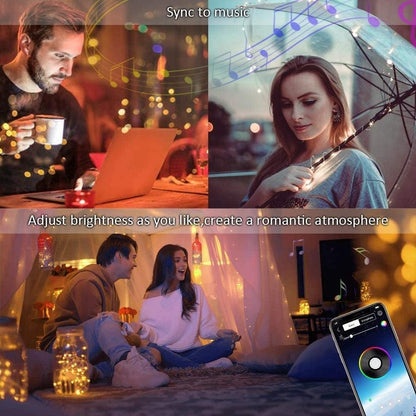 App Control Fairy Lights for Christmas Tree Decoration - HOW DO I BUY THIS 15M 150 LEDs String