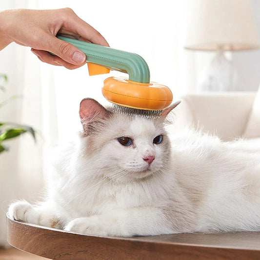 Pet Pumpkin Brush - HOW DO I BUY THIS Pumpkin green